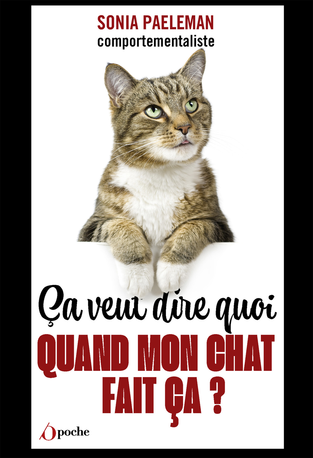 Ca veut dire quoi quand mon chat fait ça ?