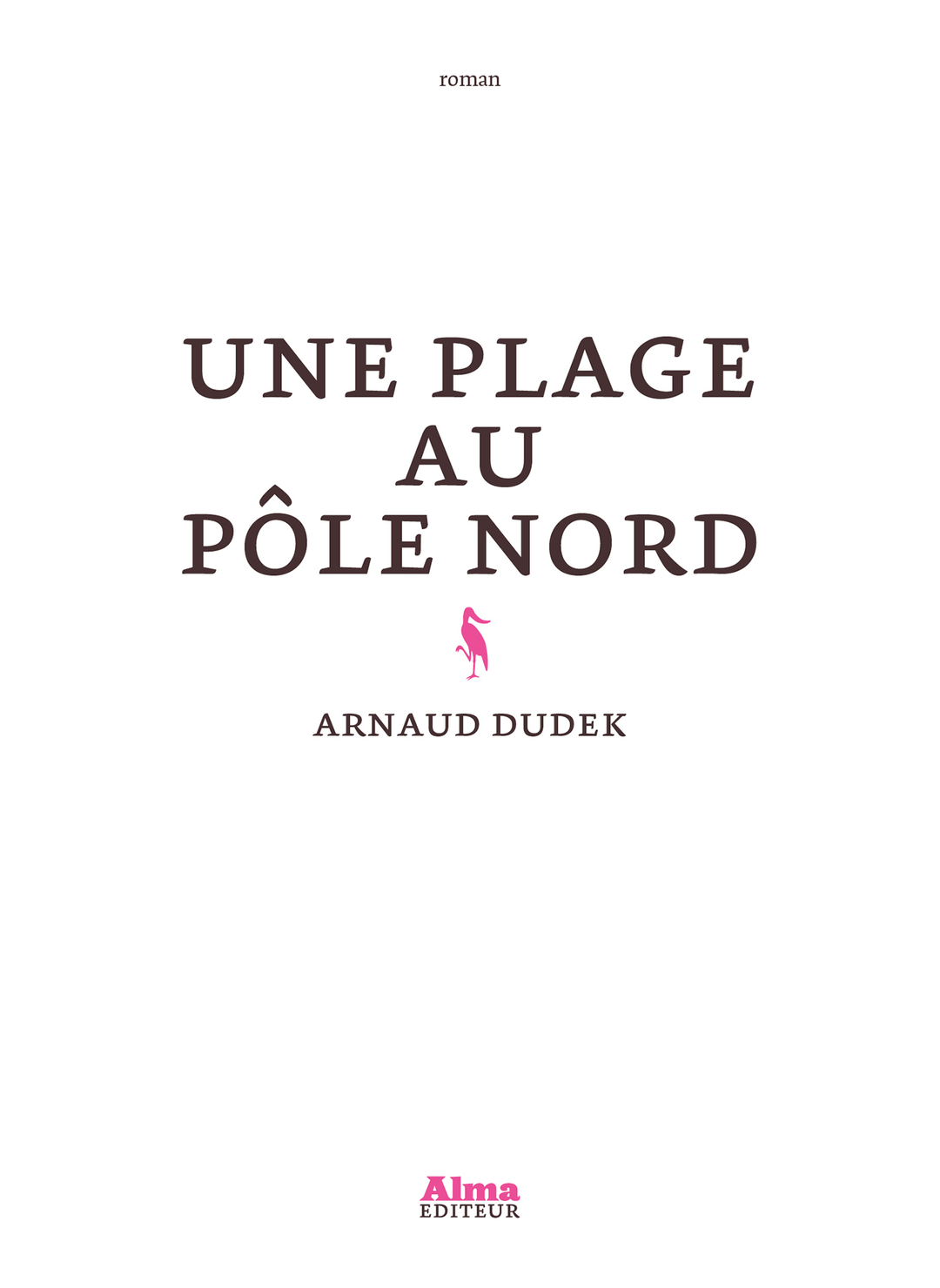 Une plage au pôle nord