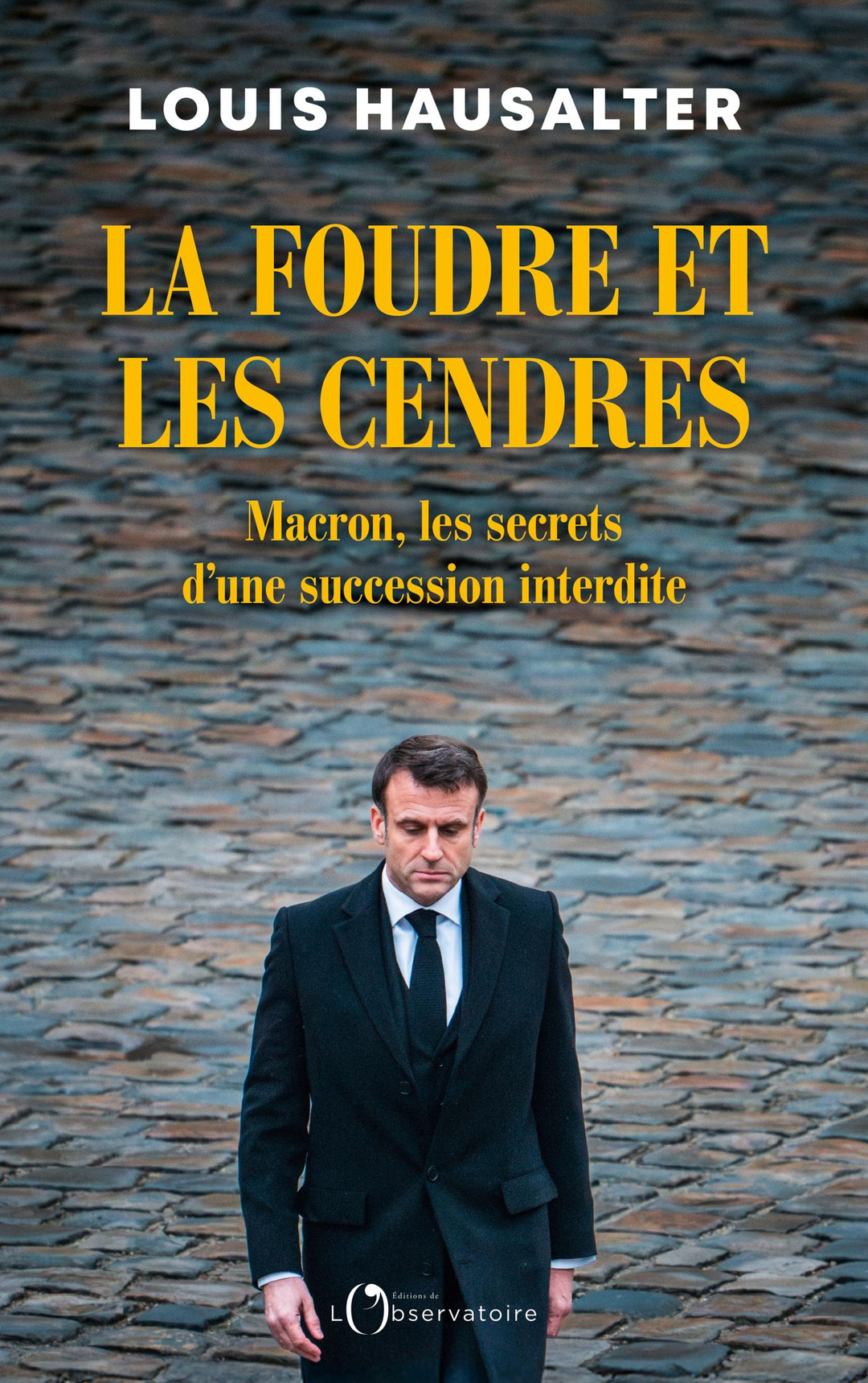 La foudre et les cendres : Macron, les secrets d'une succession interdite