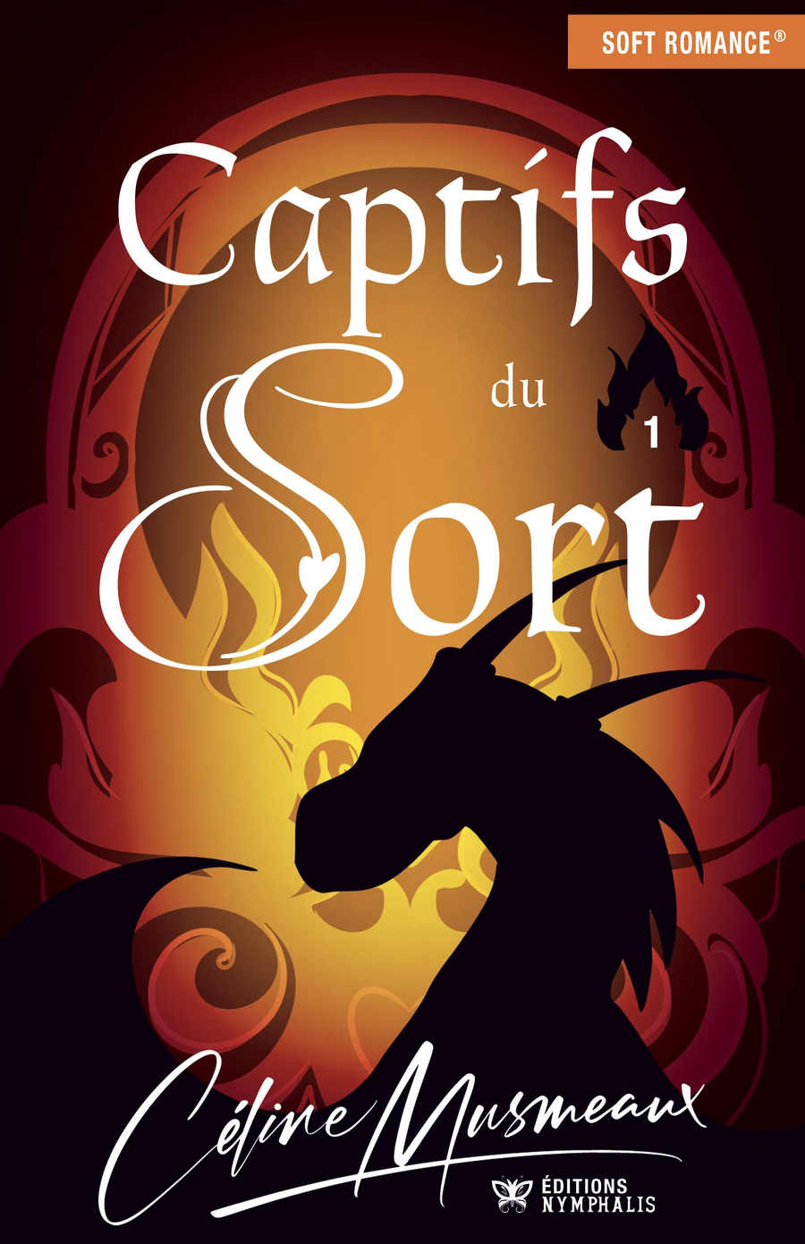 Captifs du sort - Tome 1